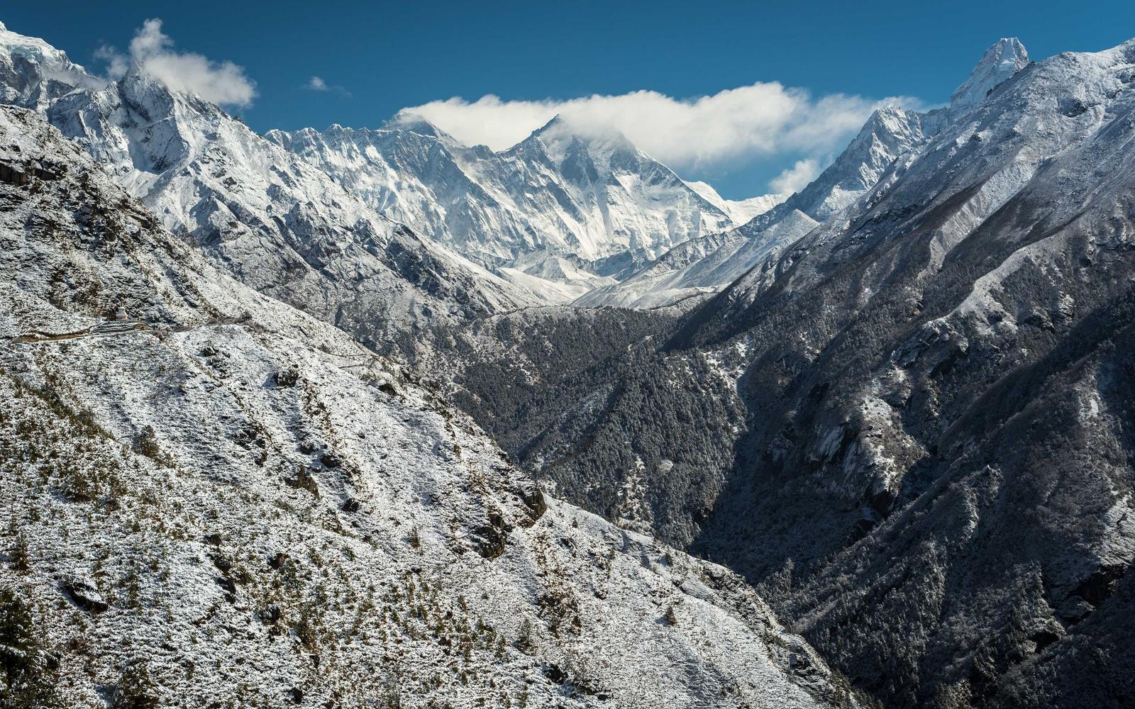 Cyclist posture side profile